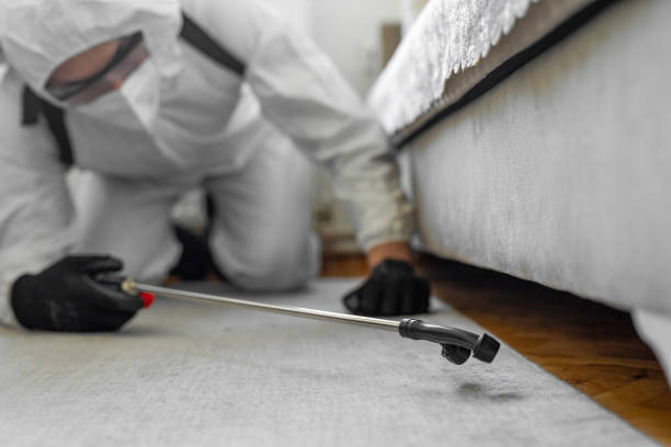Professional Cockroach Control technician working in Posen, IL